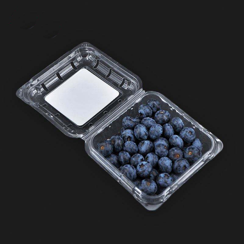 125 g groothandel transparante clamshell bosbessen clamshell verpakking fruitcontainer