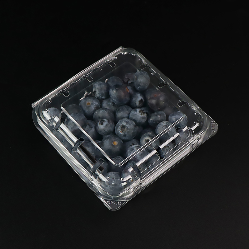 Blueberry doos fruitdoos met deksel 103*108*42 mm hgf-125b
