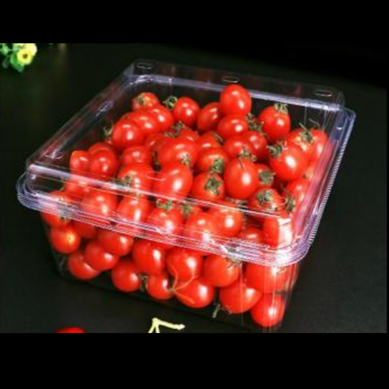 Fruitdoos met deksel 175*175*90 mm hgf-1000g