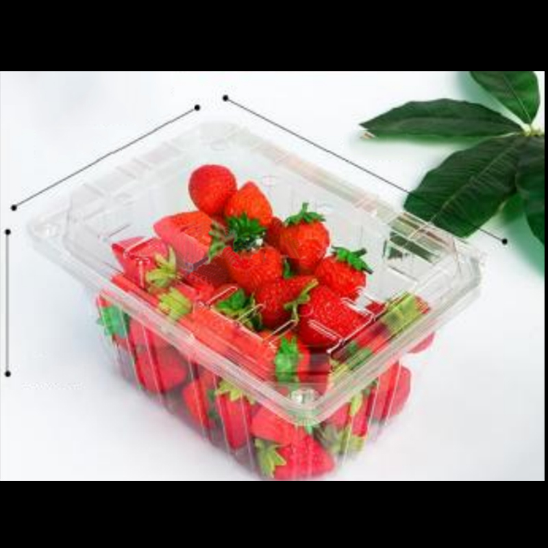 Fruitdoos met deksel 210*155*100 mm hgf-950a